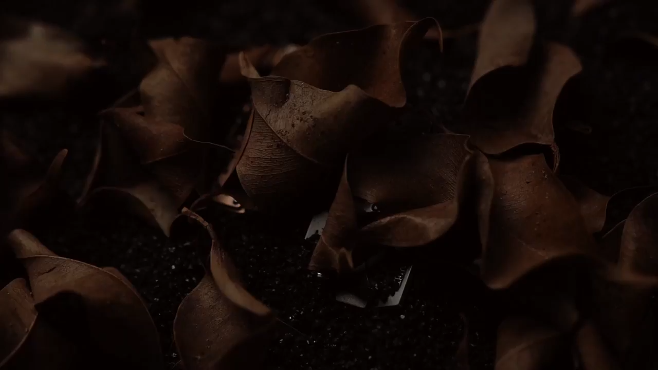 WANWU EDC Master Shield Fidget Slider