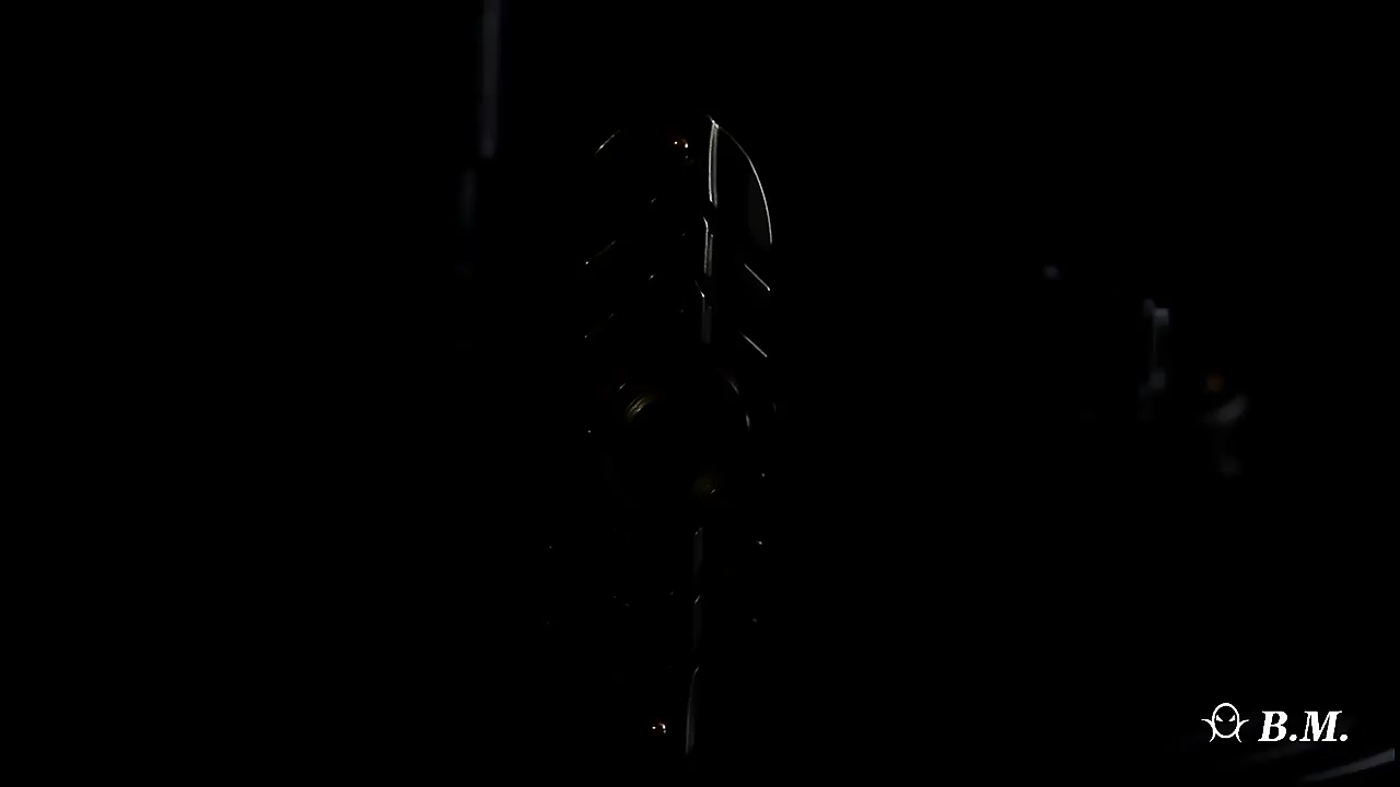 B.M. Black Mirror Fishbone Original Soft Fishbone Structure Fingertip Gyro EDC Decompression Toy