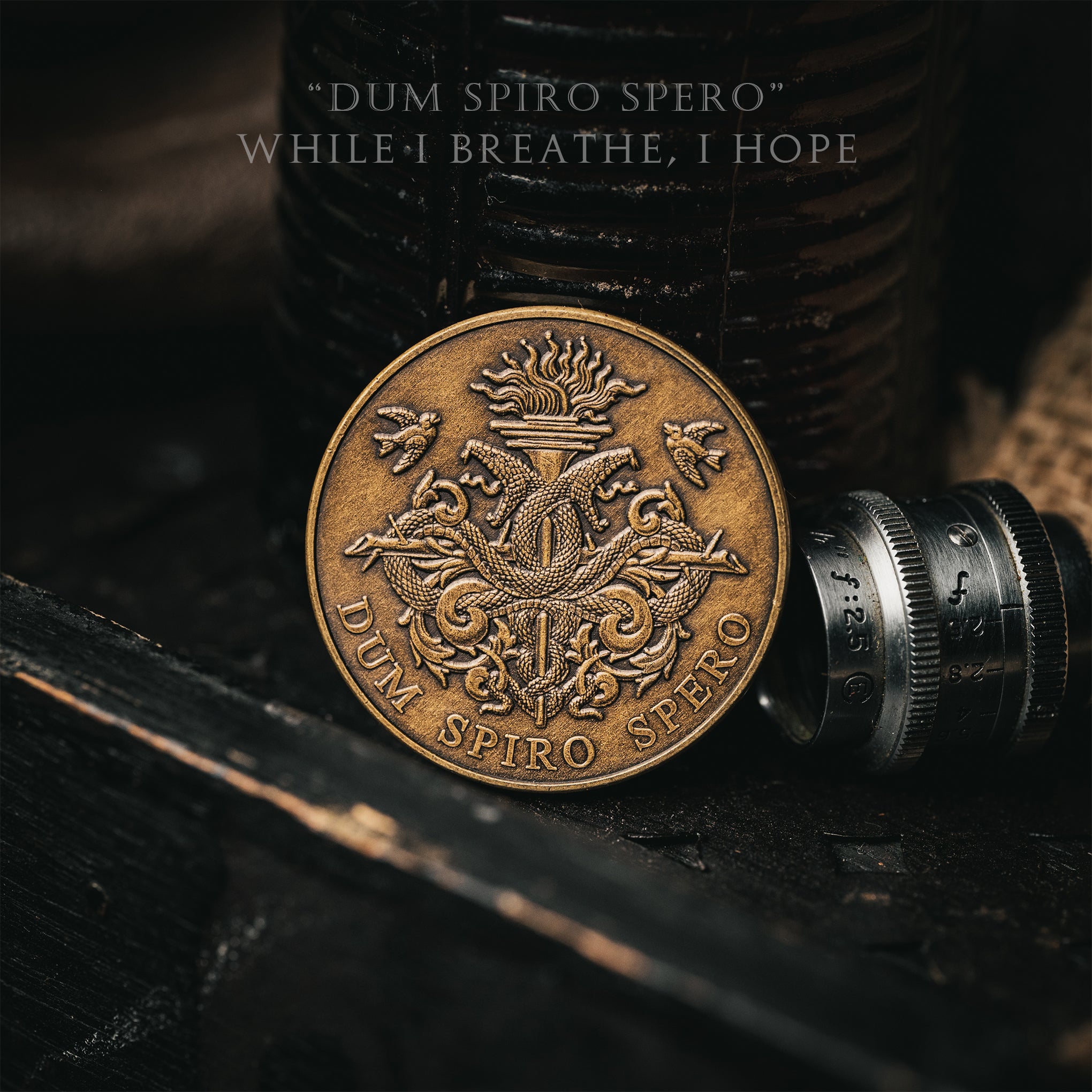 Dum Spiro Spero Coin