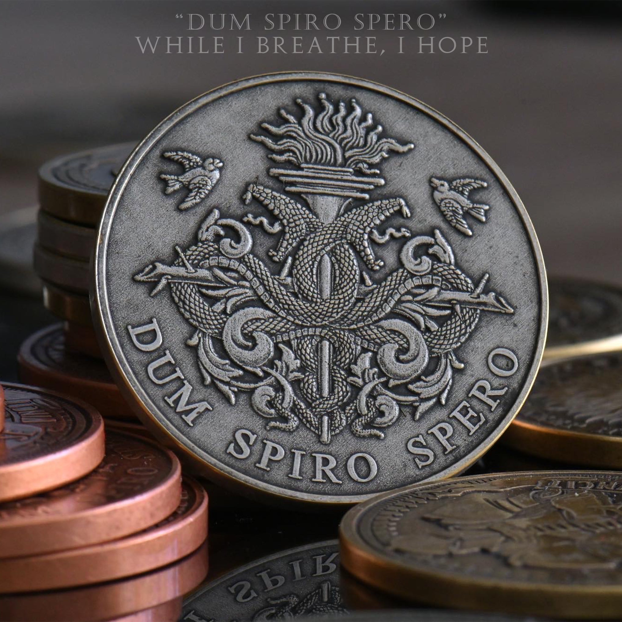 Dum Spiro Spero Coin