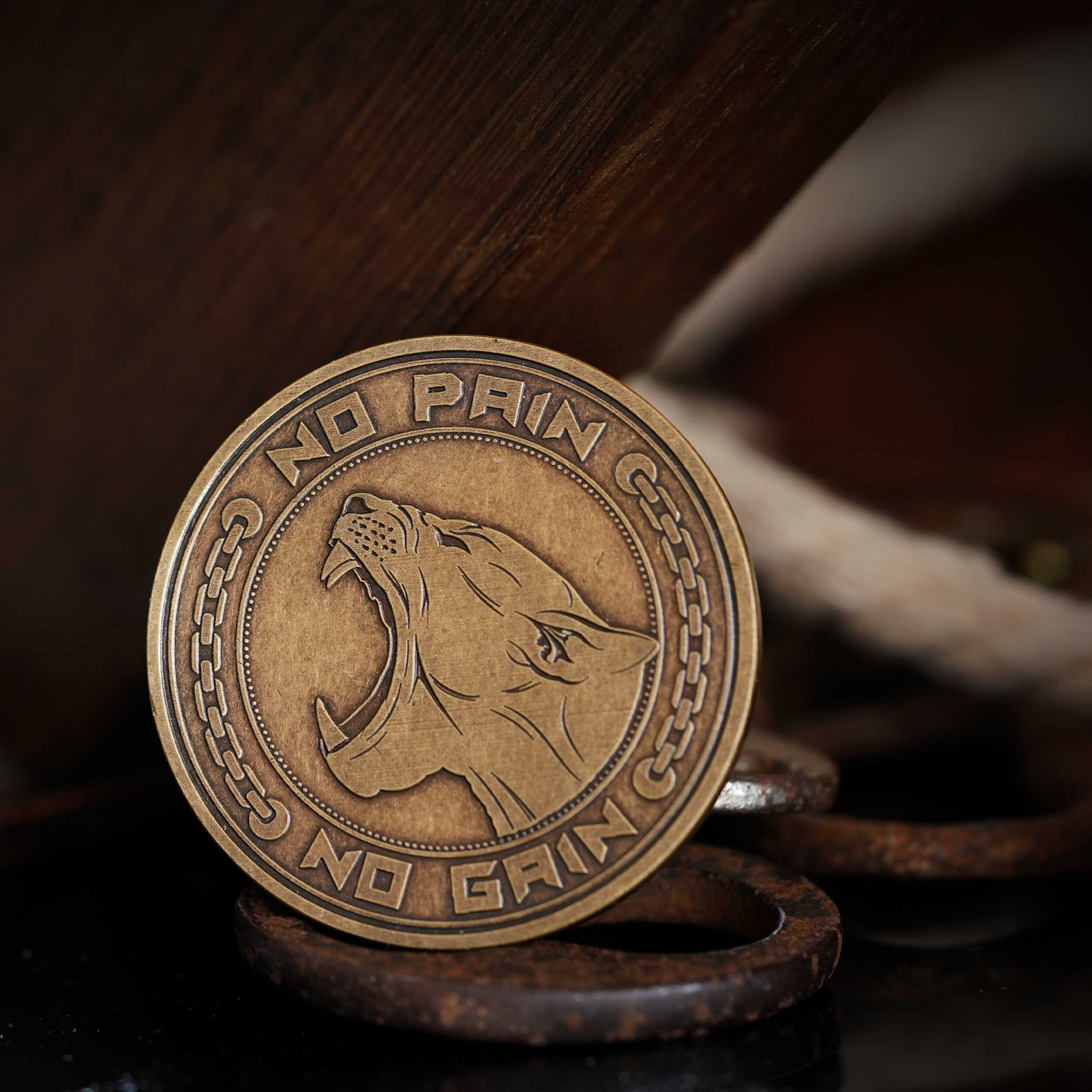 No Pain No Gain Coin