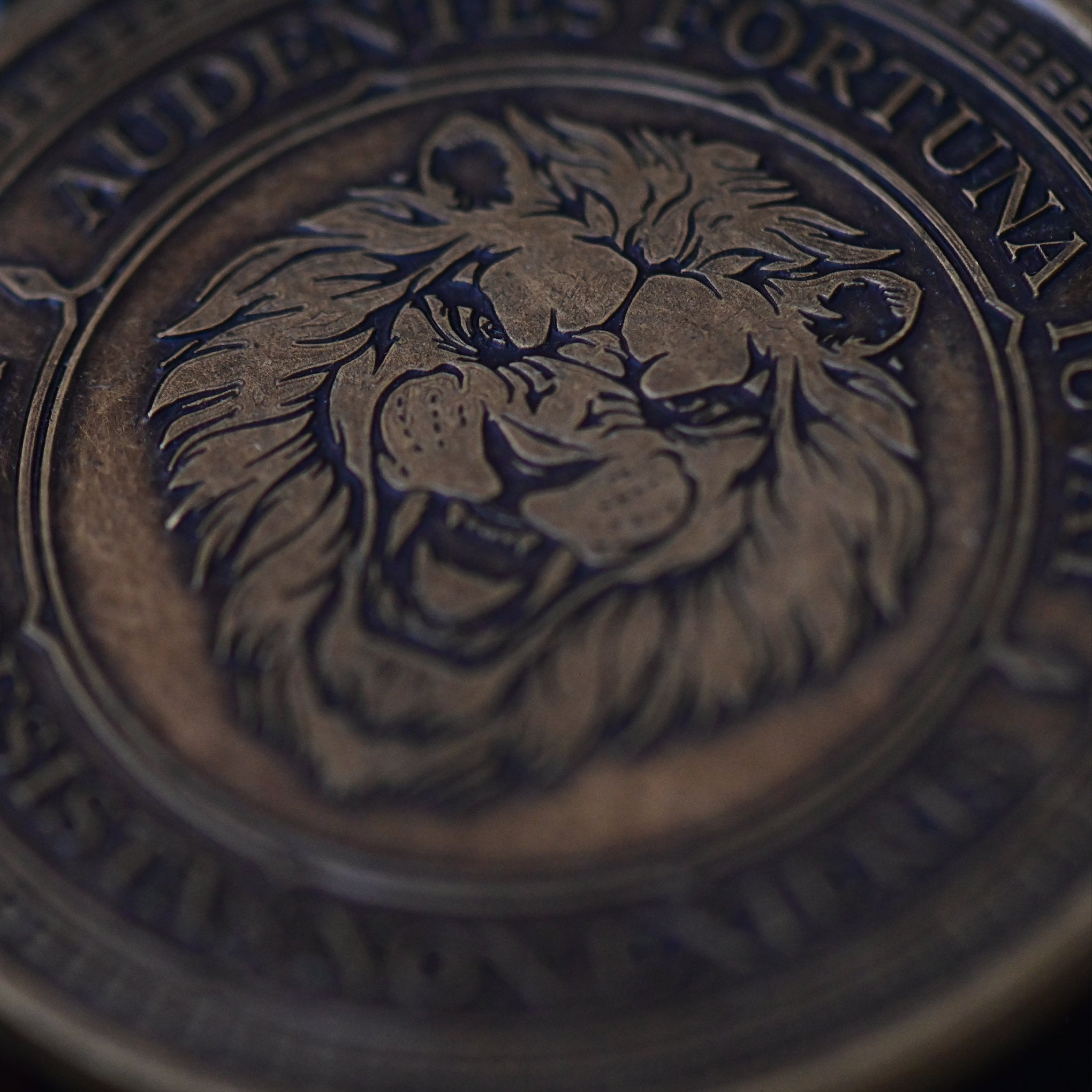 Audentes Fortuna Iuvat Coin