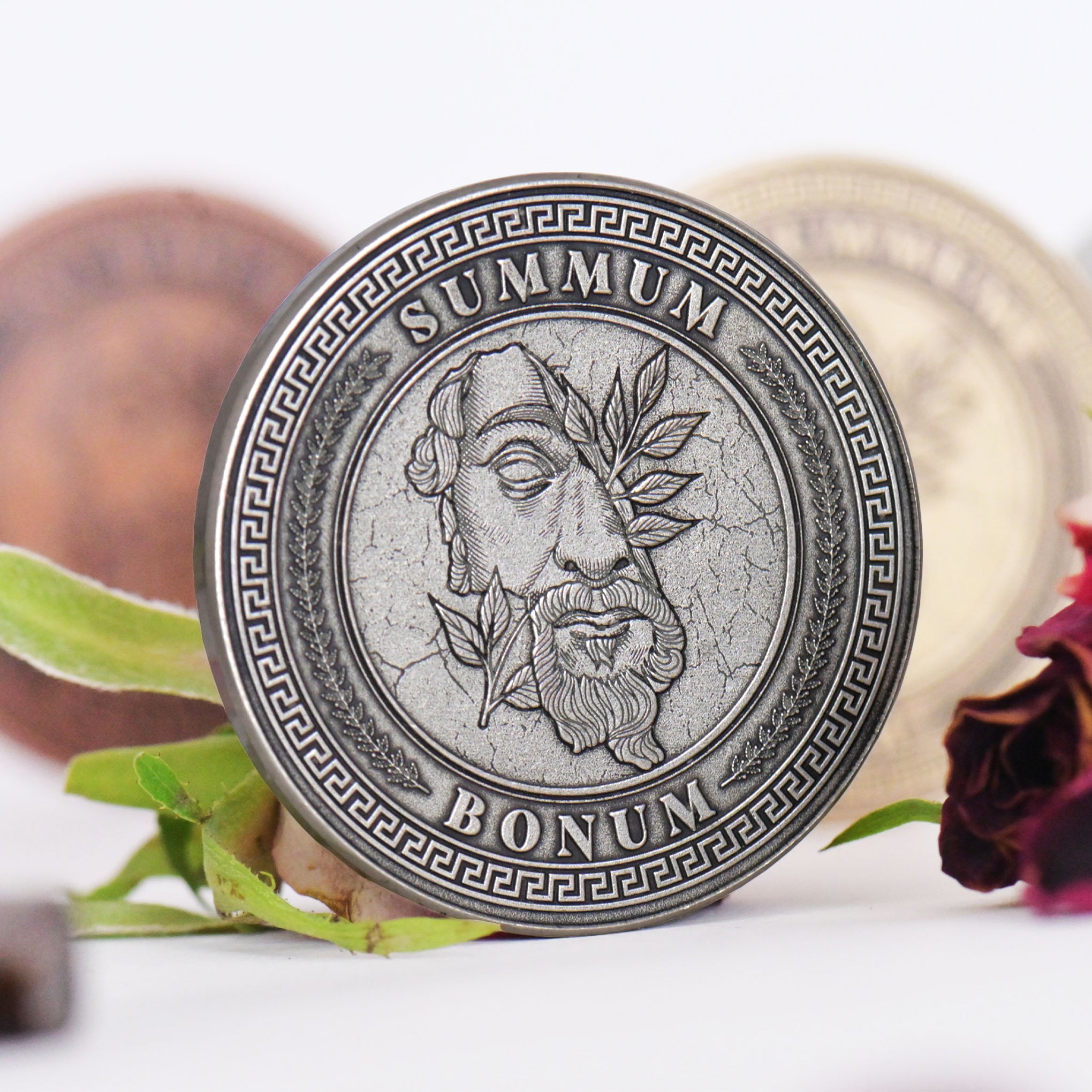 Stoic Virtues Coin