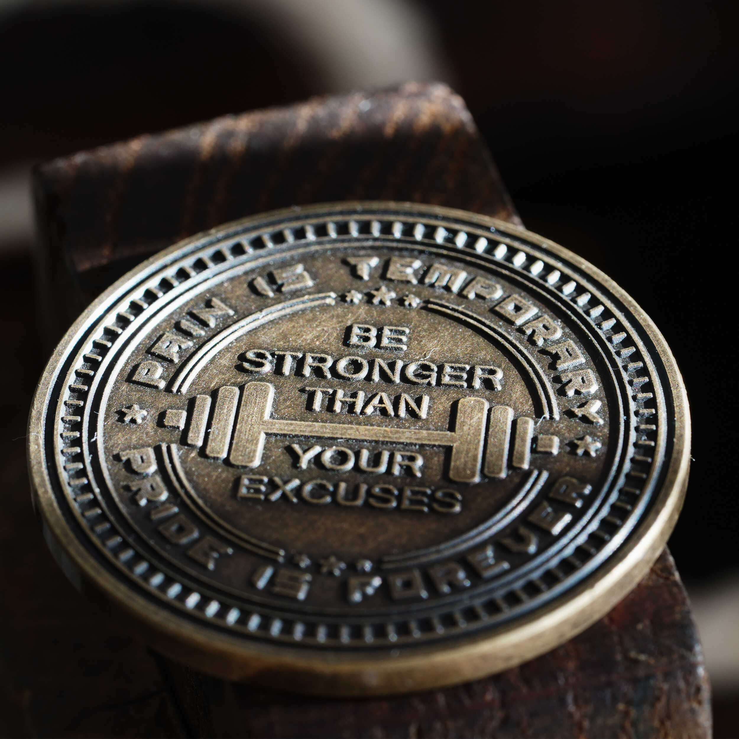 No Pain No Gain Coin