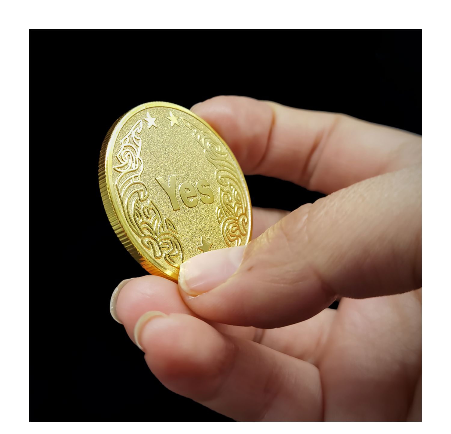 YES OR NO Decision Coin