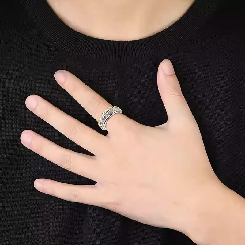 Egyptian Hieroglyphs Spinner Fidget Ring