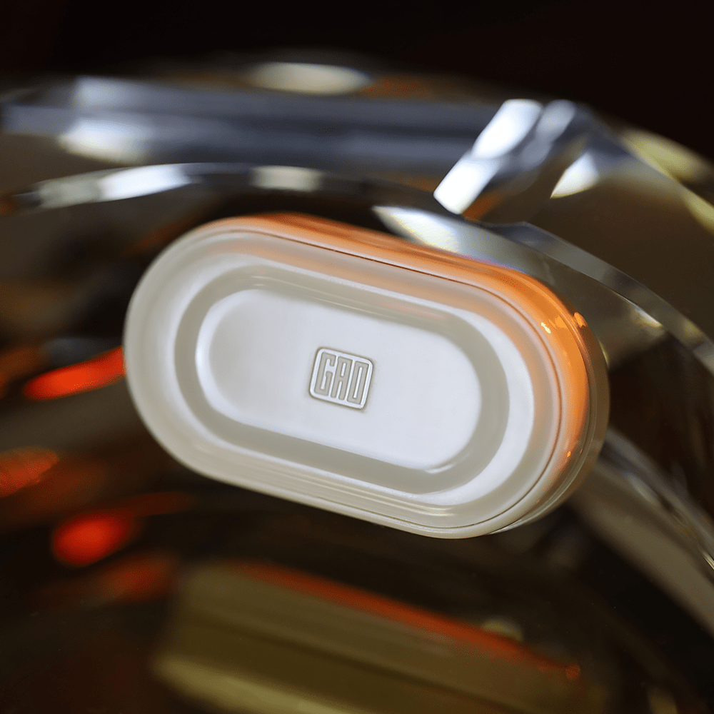 GAO STUDIO RICH COIN GEM Fidget Slider