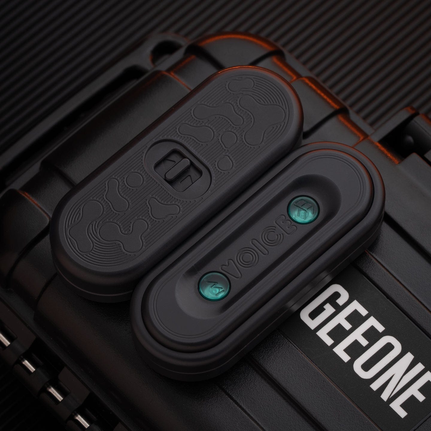 WM EDC and LEF EDC VOICE Fidget Slider