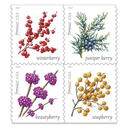 2019 Forever Stamps First Class Postage Stamps Winter Berries