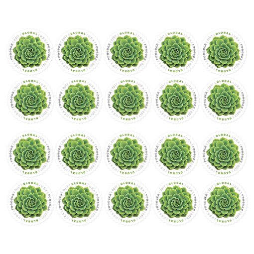 2017 Global: The Green Succulent Sheet