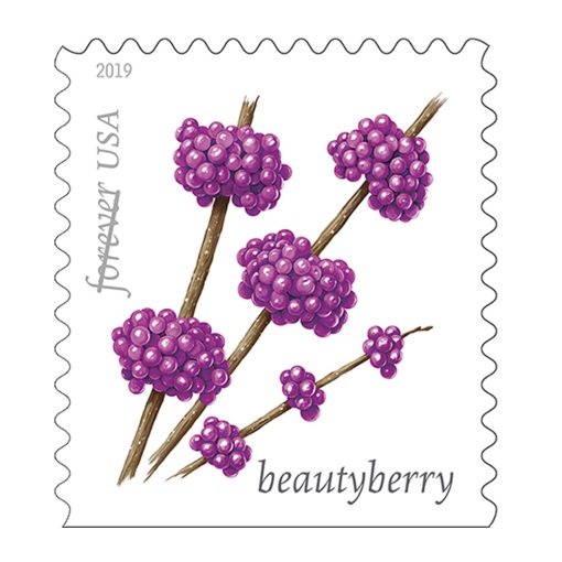 2019 Forever Stamps First Class Postage Stamps Winter Berries