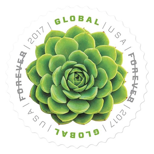 2017 Global: The Green Succulent Sheet