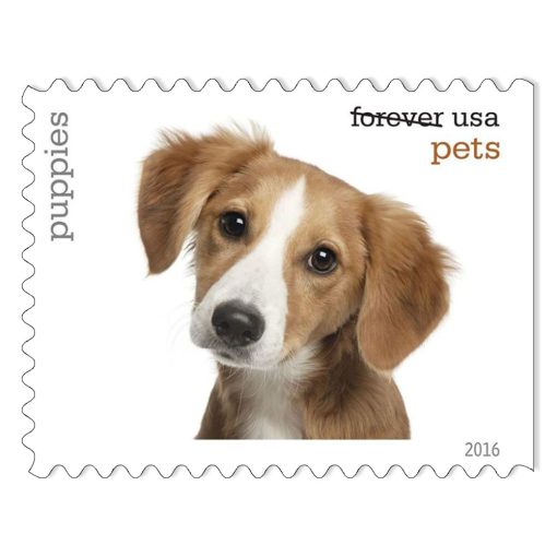 2016 Forever Stamps First Class Postage Stamps Pets Celebrate Animals