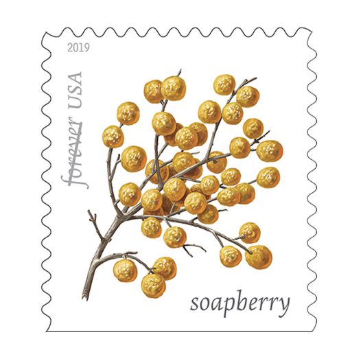 2019 Forever Stamps First Class Postage Stamps Winter Berries