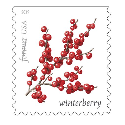 2019 Forever Stamps First Class Postage Stamps Winter Berries