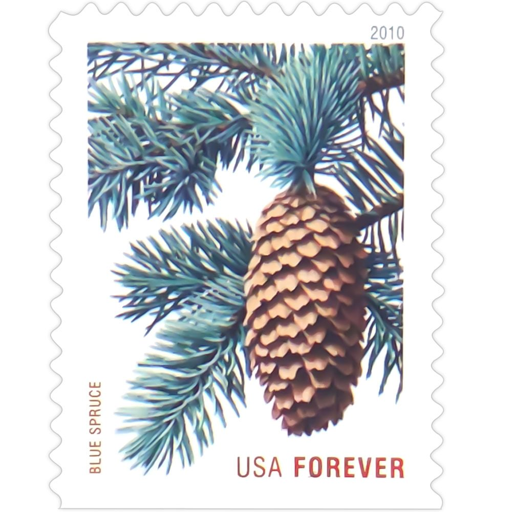 2010 Holiday Evergreens