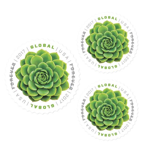 2017 Global: The Green Succulent Sheet