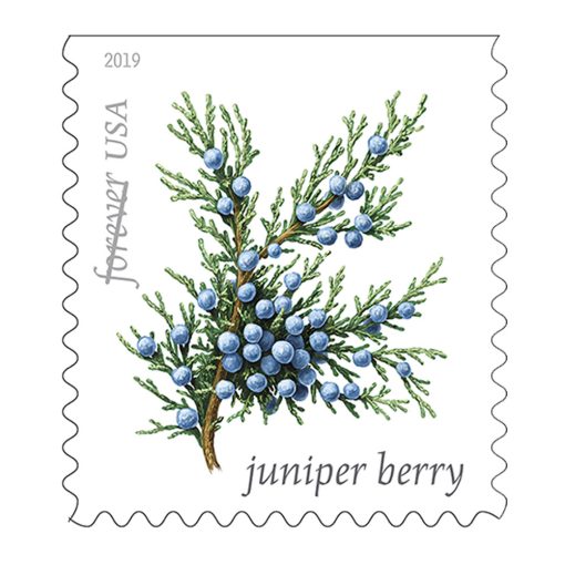 2019 Forever Stamps First Class Postage Stamps Winter Berries