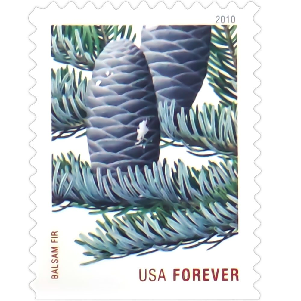 2010 Holiday Evergreens