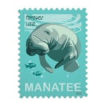 Save Manatees 2024