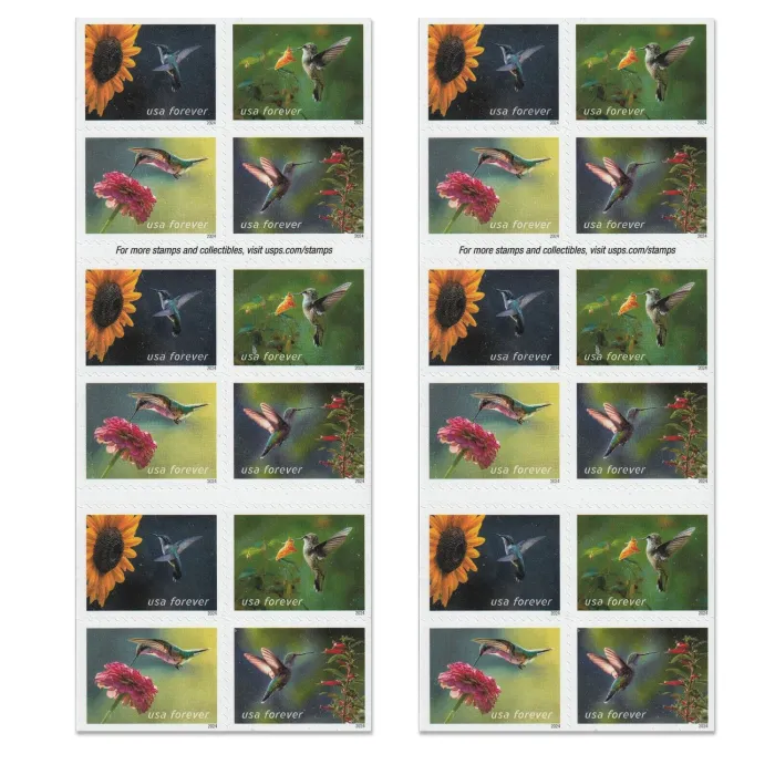 Garden Delights 2024