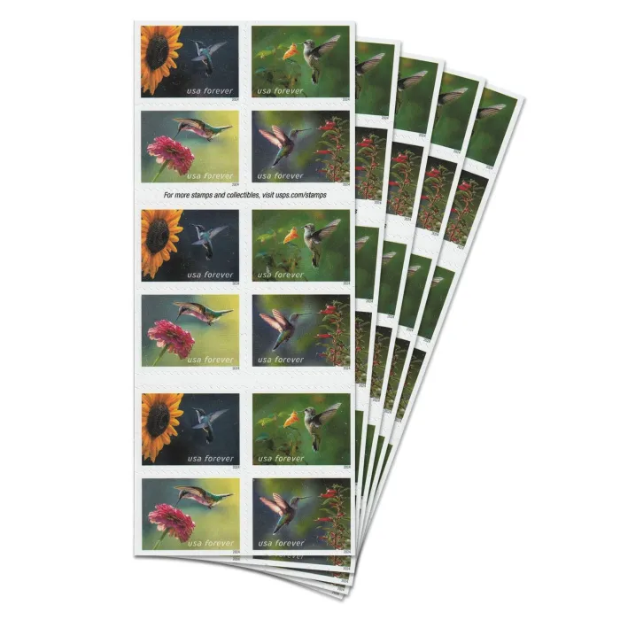 Garden Delights 2024