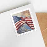 U.S.Flag 2024