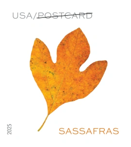 Vibrant Leaves Postcard Stamps 2025