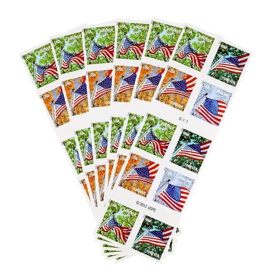 Chang Zhang Flag 2013