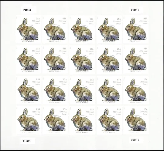 Little Grey Rabbit 2022