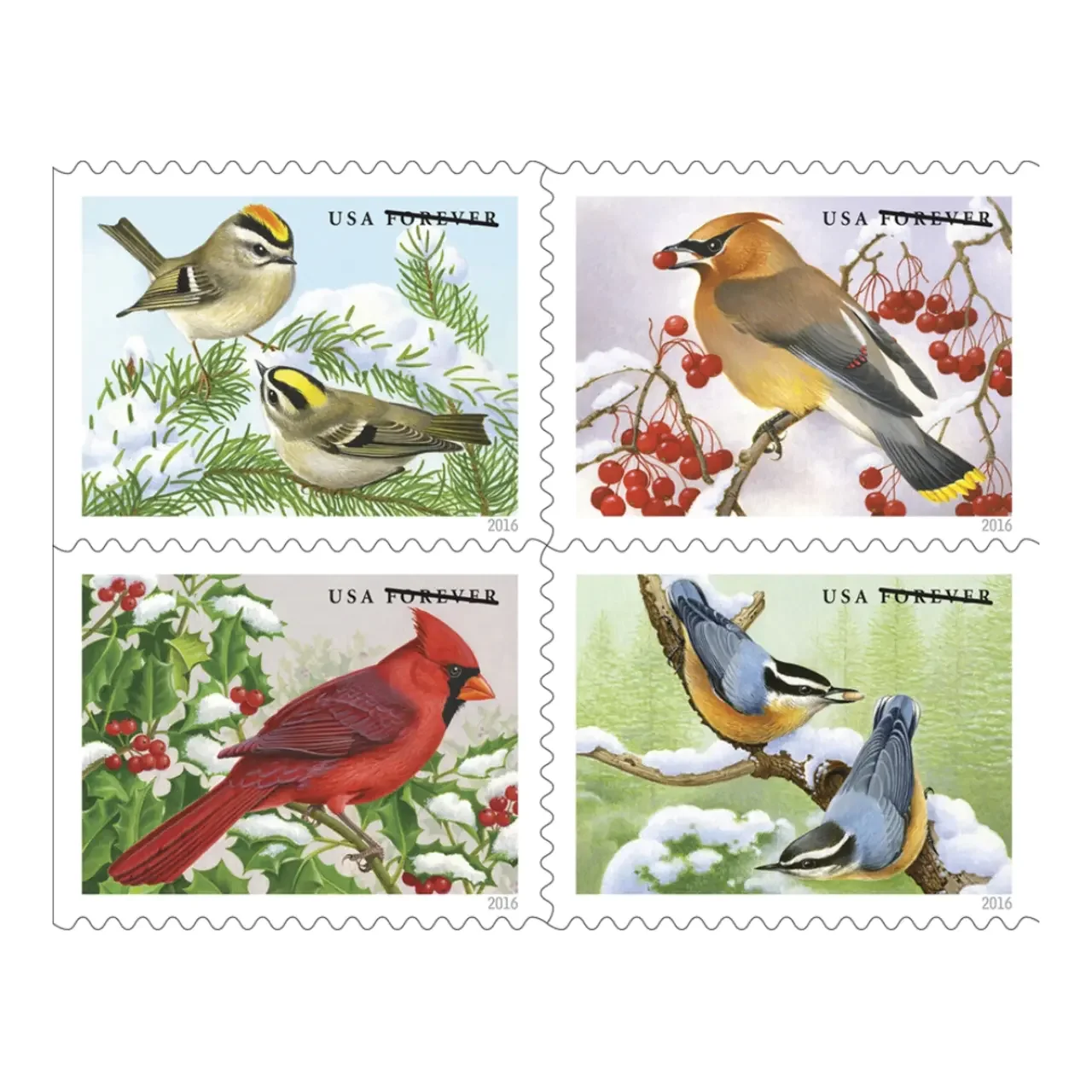 Songbirds in the Snow 2016