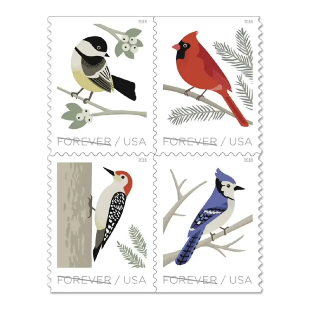 Birds of Winter 2018