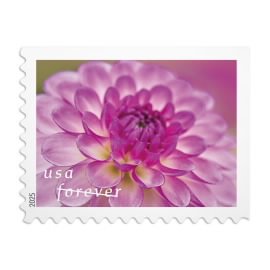 2025 Dahlias Stamps
