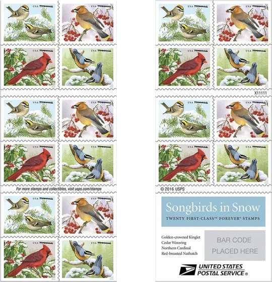 Songbirds in the Snow 2016