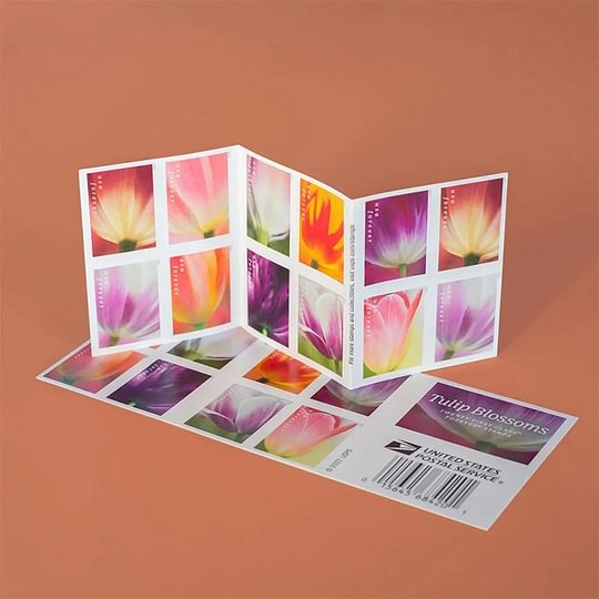 Tulip Blossoms 2023